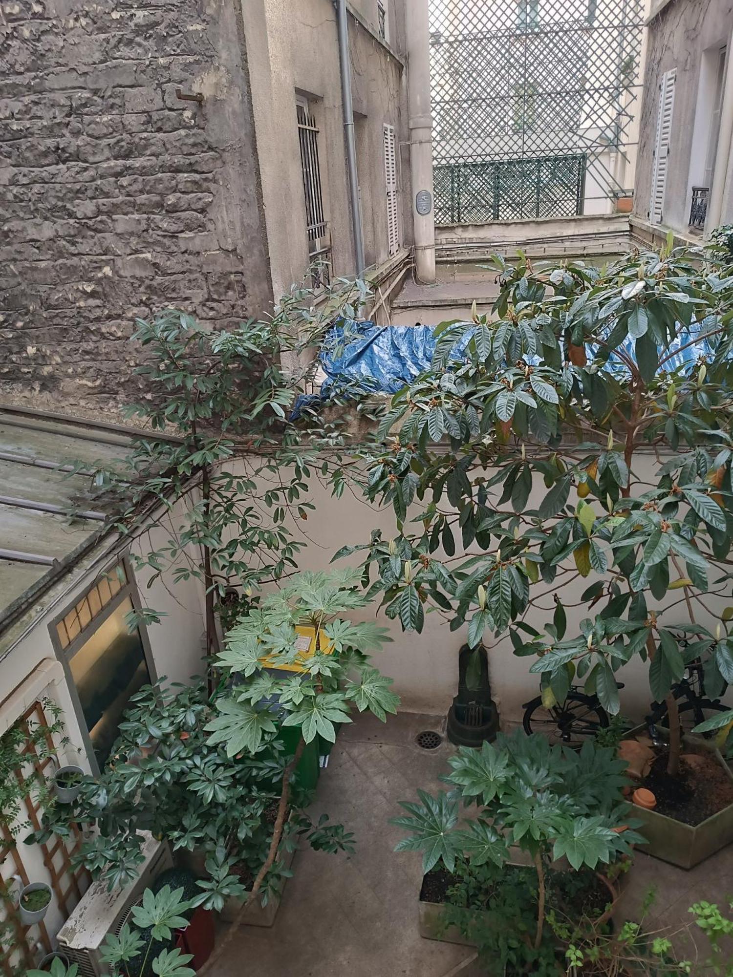 Studio Cosy Paris 6Eme Bon Marche 外观 照片